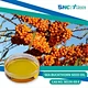 100% Natural High Quality Organic Sea Buckthorn Juice Powder